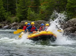 Rafting team navigating thrilling rapids on the Pemigewasset River in New Hampshire, surrounded by lush forests.