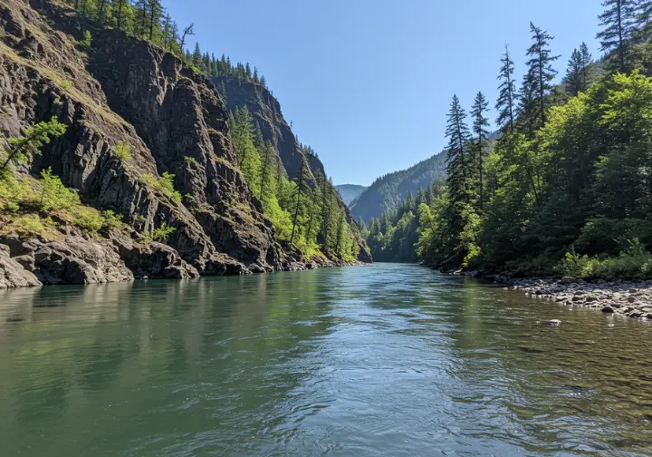 Dramatic basalt cliffs meeting lush forest along a clear, scenic stretch of the White Salmon River in bright daylight.