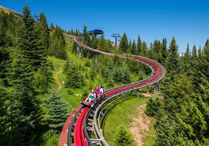 Explore Purgatory Resort fun near Durango: People riding the Inferno Mountain Coaster during summer.