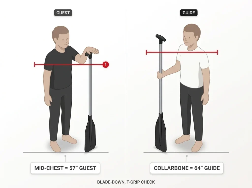 Diagram showing raft paddle sizing: T-grip at mid-chest equals 57" guest length, at collarbone equals 64" guide length