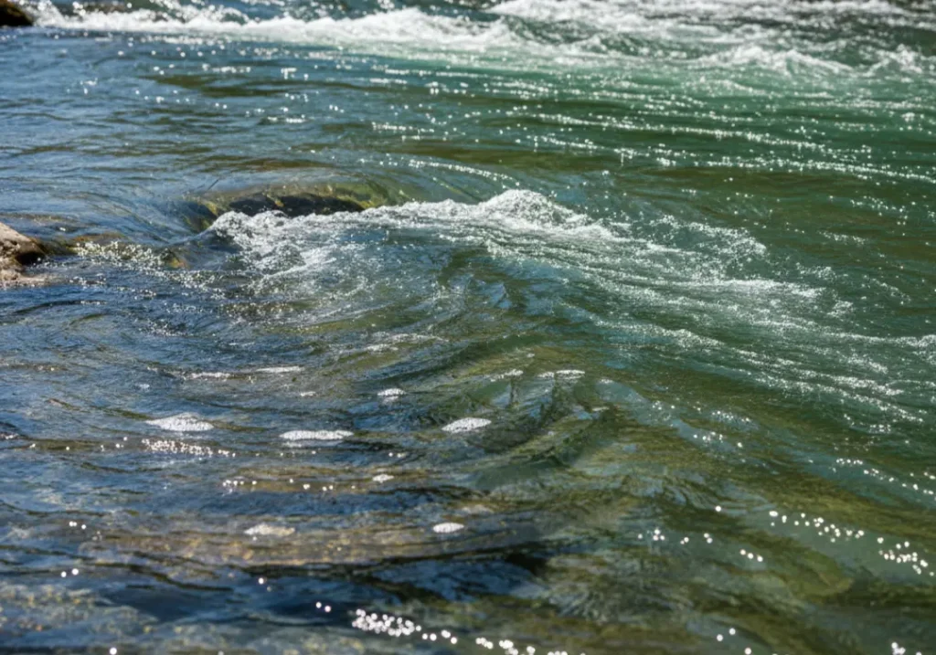 A detailed medium shot of a river's surface, clearly showing the contrast between the fast-moving main current and a swirling eddy.