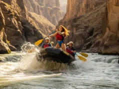 Rafting Forward Stroke: Core Technique for Maximum Power A team in a whitewater raft paddles through large rapids in a vast canyon, with a woman in front executing a powerful forward stroke.
